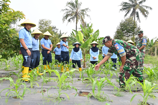 Danlanud Husein Sastranegara, Kolonel Pnb Alfian, S.E., M.Han., didampingi para Kepala Dinas dan Dansatpomau sedang meninjau lahan ketahanan pangan milik TNI AU di Jl. Kamarung Atas No.1, Kelurahan Citeureup, Kecamatan Cimahi Utara, Kota Cimahi, Selasa (3/6/2025).