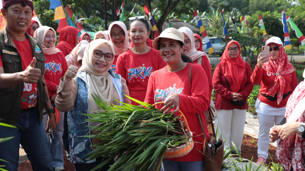 Ketua TP PKK Kota Bekasi Wiwiek Hargono Tri Adhianto saat ikut memanen bawang dayak di acara Urban Farming Bekasi Keren di wilayah kel Jatirangga, Kec Jatisampurna.