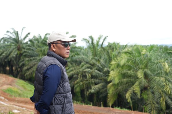 Direktur Utama PTPN IV Palmco Jatmiko K Santosa: 