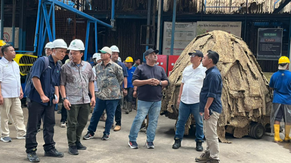 Direktur Produksi PTPN I, Fauzi Omar, saat meninjau jalur sadap dan fasilitas pengolahan di Kebun Padang Pelawi, Bengkulu, dalam upaya meningkatkan produktivitas komoditas karet nasional.