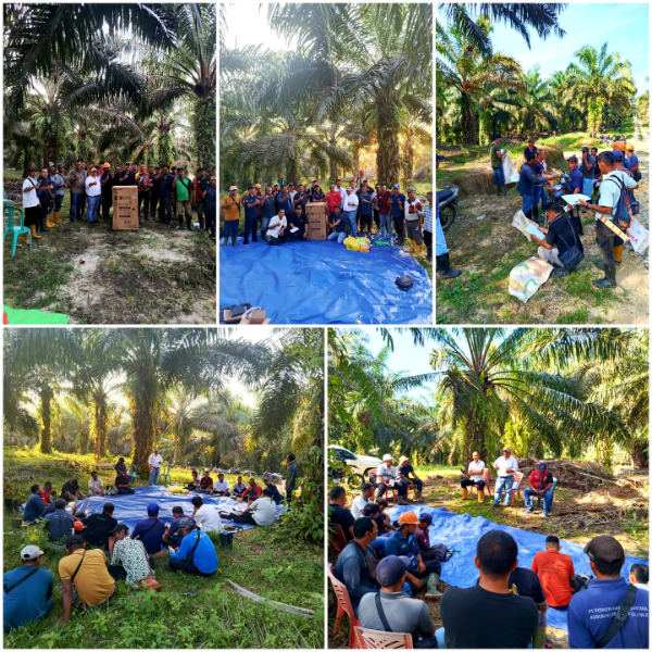 Head of PMO Investasi Tanaman Wilayah Kalimantan Barat bersama jajaran manajemen dan tim operasional PTPN IV Regional V saat pelaksanaan Field Day Panen Bersih di Kebun Ngabang dan Kebun Gunung Meliau sebagai upaya memperkuat kualitas panen, menekan losses, dan meningkatkan produktivitas perkebunan kelapa sawit.