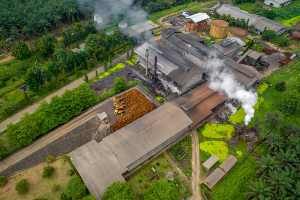 Produksi CPO PalmCo Tembus 2,7 Juta Ton, Produktivitas Lahan Naik di Tengah Fokus Keberlanjutan