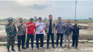 Klaten Perkuat Pertanian, Targetkan 378 Ribu Ton GKG 2026 untuk Dukung Swasembada Pangan Nasional