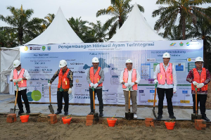 PTPN IV PalmCo Siapkan Lahan Poultry Terintegrasi di Paser, Dukung Swasembada Protein & Program Makan Bergizi Gratis