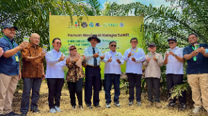 PalmCo Uji Serangga Penyerbuk Asal Tanzania untuk Dongkrak Produktivitas Sawit