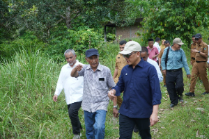 Didorong Kementan, Hilirisasi Gambir Nasional Dipacu PalmCo