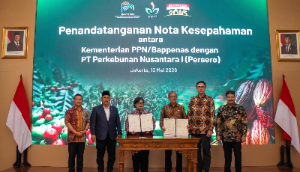 Bappenas Sebut PTPN I Punya Peran Strategis di Ketahanan Pangan dan Energi, Hilirisasi Kelapa-Kopi-Kakao Diperkuat