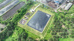 PalmCo Perkuat Transisi Energi Bersih Lewat Perdagangan Karbon
