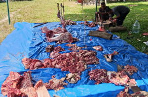 PT Sri Pamela Medika Nusantara Gelar Qurban Bersama Karyawan, Perkuat Kepedulian Sosial
