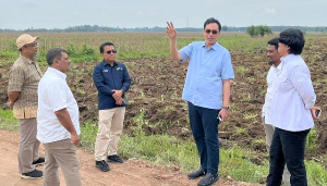 Dukung Mandiri Energi Nasional, Holding Perkebunan Nusantara Siapkan 10 Ribu Hektare Lahan Singkong di Lampung
