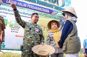 Panen 17,5 Ton Gabah, Lanud Halim Perdanakusuma Perkuat Ketahanan Pangan Nasional dan Dukung Program MBG