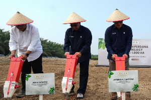 Tekan Impor Kedelai, PTPN IV PalmCo Mulai Pilot Project 1.000 Hektare di 6 Provinsi