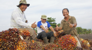 Kemitraan Sawit Rakyat Jadi Penopang B50, PTPN IV PalmCo Raih Penghargaan di Dua Provinsi