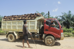 Pencurian TBS Sawit Disorot, Petani dan Pekerja Minta Rantai Kejahatan Diputus