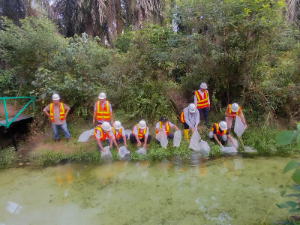 PTPN IV PalmCo Tanam Ribuan Pohon dan Tebar 10.000 Bibit Ikan di Riau, Perkuat Keanekaragaman Hayati