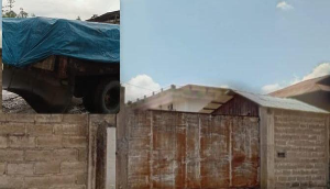 Dugaan Peredaran Kayu Merbau Ilegal di Sorong Disorot, GAKUM KLHK Diminta Periksa Rantai Pasok hingga Industri