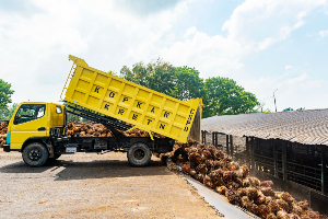 Sertifikasi Keberlanjutan PTPN IV PalmCo Dipercepat, Premium Price Produk Sawit Tumbuh 47,87%